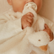 Muchláčik hus Newborn Naturals Little Dutch