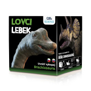 Lovci lebiek Albi - Brachiosaurus