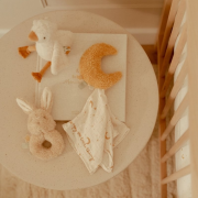 Darčeková sada Newborn Naturals Little Dutch