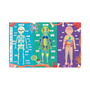 Ako funguje ľudské telo? Albi