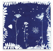 Deco XXL sada s aktivitami Herbár Janod Atelier