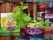 Grow & decorate Vypestuj si kvety