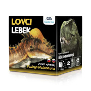 Lovci lebiek Albi - Pachycephalosaurus