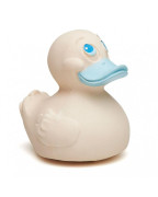 Kačička s farebným zobáčikom Lanco