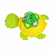 Zábavná korytnačka Bam Bam