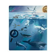 Kúzelné čítanie kniha Tajomstvo morí a oceánov Albi