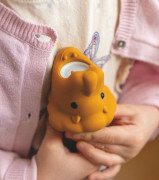 Detská baterka Rabbit and Friends