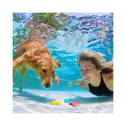 Podvodné písmenká Albi