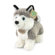 Plyšový pes husky stojaci 23 cm Rappa