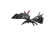 Motýľ tropický Papilio/vidlochvost čierno-šedivý zooted plast 6 cm