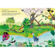 Moje prvé samolepkovanie Vtáky