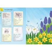 Svet zvierat v samolepkách Hmyz a spol.