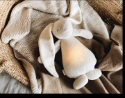 Zaspávačik Zajačik 2.0 Moonie