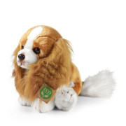 Plyšový pes gavalier king Charles španiel 28 cm Eco-Friendly Rappa