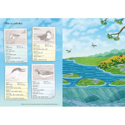 Svet zvierat v samolepkách Naši vtáci