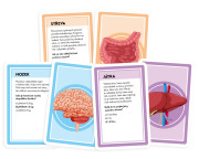 Poďme sa učiť: Naše úžasné telo Tactic