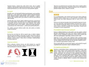 Montessori pre (ne)chápavých (3–6 rokov)