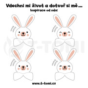 Mušelínový zaspávač T-Tomi