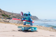 RC Surfer 25 cm Stitch