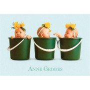 Blahoželanie mini Anne Geddes - Zelená v troch vedrách