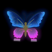 Led Neon Light lampička Motýľ 2Kids Toys
