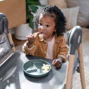 Stolička jedálenská multifunkčná Wesley™ 0 m+ do 23 kg Ingenuity