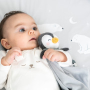 2-dielny bavlnený set do postieľky 0 m+ bonjourbébé