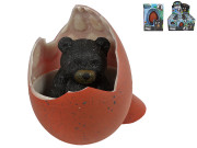 Medveď čierny liahnuci a rastúci