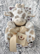 Plyšová hračka s dekou 75x100 cm