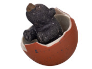 Medveď čierny liahnuci a rastúci