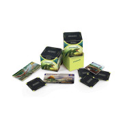 Vedomostné pexeso - Dinosaury Albi