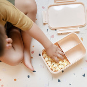 Krabička na jedlo Bento Recycled 3 Sprouts