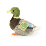 Plyšová kačica divá 13 cm Eco-Friendly Rappa