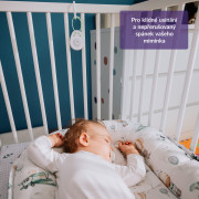 TrueLife BabyTone S3