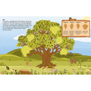 Samolepková knižka Naše stromy