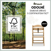 Drevená stolička Arketa dub masív Hauck