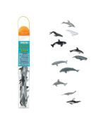 Tuba - Veľryby a delfíny