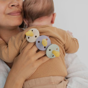 Bibs symetrické cumlíky kaučuk 2 ks 6 m+ Colour