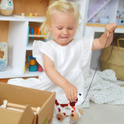 Edukačný box Maxi 19–24 mesiacov 6 ks