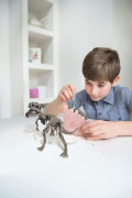 4M Dinosauria kostra - Rex