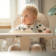 Poťah sedadla a podnos k detskej stoličke Gusto Petite&Mars