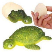 Liahnúce sa vajcia korytnačka