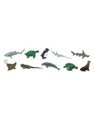 Tuba - Ohrozené morské druhy