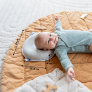 Podhlavníček Cosyhead Fresh Babymoov