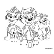 555 samolepiek Tlapková patrola