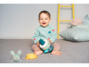 Pyramída Hunny Bunny Taf Toys