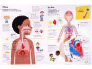 Naj... ĽUDSKÉ TELO v pohybe