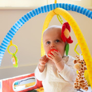 Hracia deka Palenquo & Balls Bo Jungle