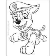 Tetovací set 50+ Tlapková patrola