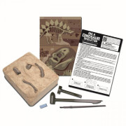 4M Dinosauria kostra - Rex